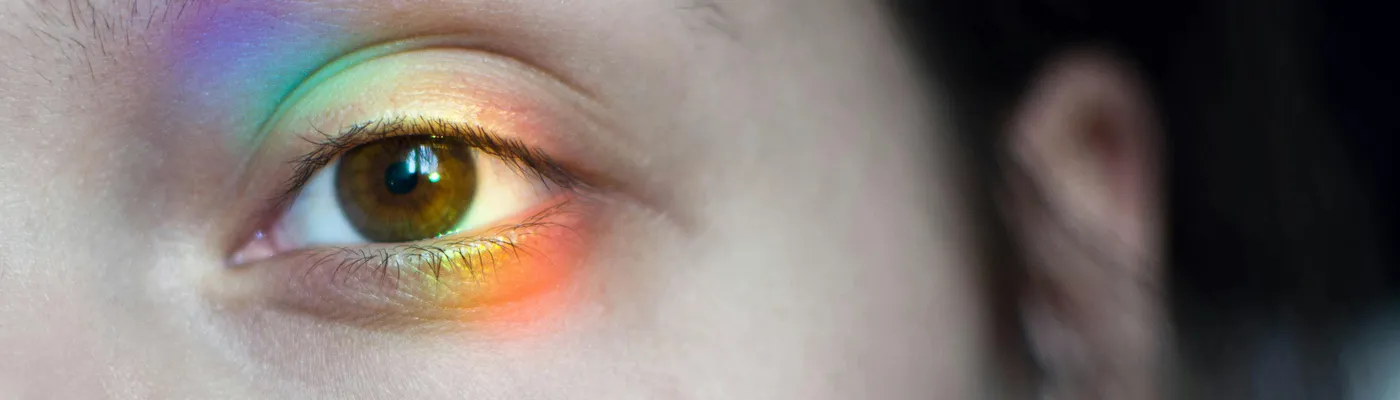 illustration de l'article